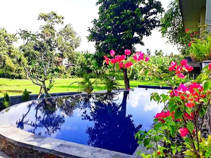 Medewi Beach View Villa Jembrana Eksteriør billede