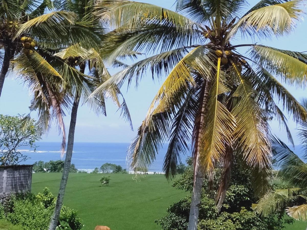Medewi Beach View Villa Jembrana Eksteriør billede