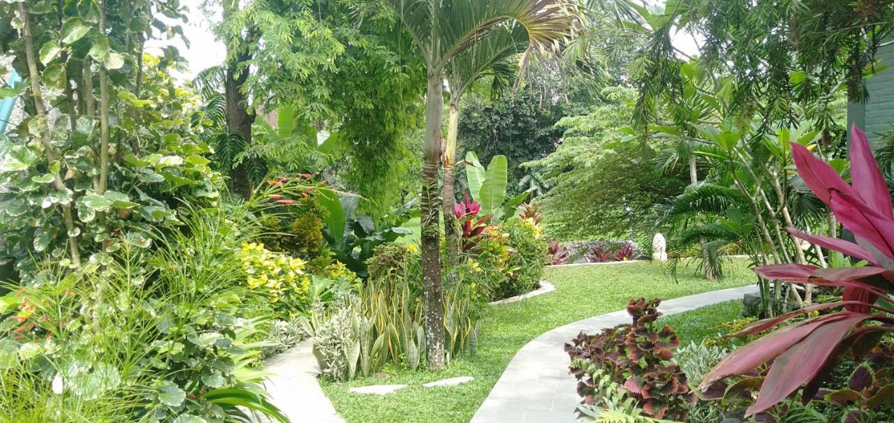 Medewi Beach View Villa Jembrana Eksteriør billede